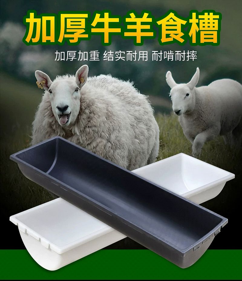 微信圖片_20250317142813